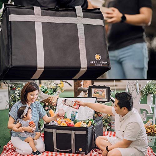 Best image of food delivery bags